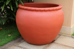 Garden Pots